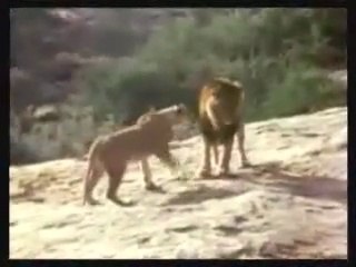 Belle histoire d amour