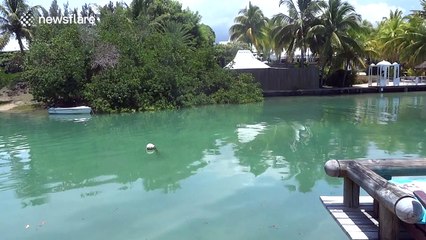 Incredible solar halo dazzles Mauritian skies