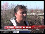 Rruga Levan-Fier e ndotur nga plehrat - News, Lajme - Vizion Plus