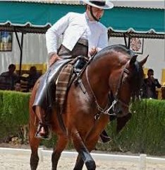 Rafael Arcos González y "Elegido 50%"