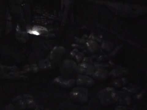 2 TON DROGE KAPET NE VLORE SASI REKORD HASHASHI GATI PER TRANSPORTIM LAJM