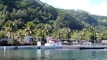 Las perlas de Tahití, vulnerables al calentamiento global