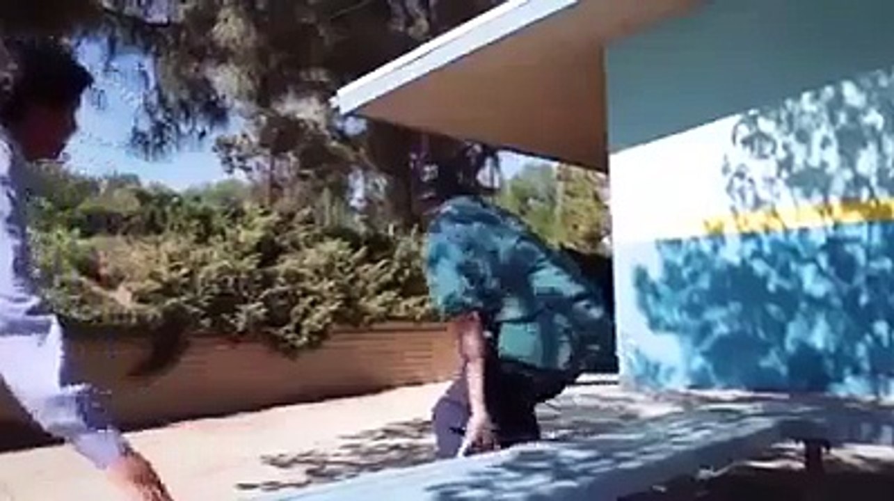 The most amazing video