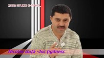 NICOLAE GUTA - DACA AI MUIERE GELOASA, JOC TIGANESC LIVE, ZOOM STUDIO