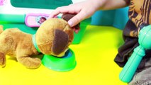 Doc McStuffins Disney Junior Pet Vet Carrier Playset Doctor Vet Sick Findo Dog Puppy Play-Doh