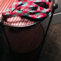 wen you are leaving your dog alone