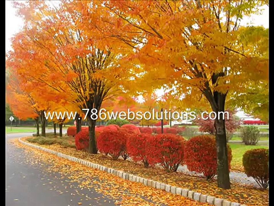 haji mushtaq qadri Amaizing Naat Must be Liston With Beautifull scenrices