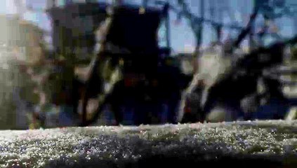 Bubble Freezes Before Your Very Eyes