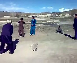 funny pathan playing cricket