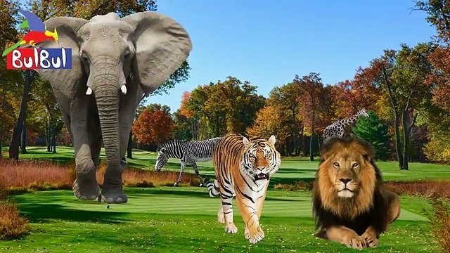 2D Finger Family Animation 226 _ Animal-Angry Bird-Christmas Ice Cream-Christmas CAKE Finger Family , Animated and game cartoon movie online free video 2016