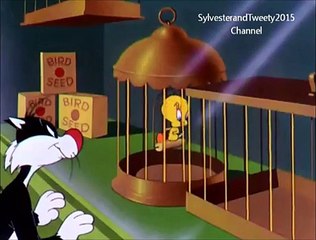 Sylvester and Tweety in AINT SHE TWEET Part 2