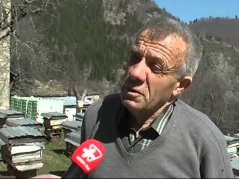 GRABITEN SHTEPITE BANORET E DARDHES KERKOJNE NDERHYRJEN E FORCAVE TE POLICISE LAJM