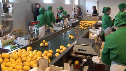 RAMA NE LUSHNJE: MBESHTETJE PER AGROBIZNESIN