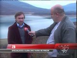 Kukës, zbulohet tulipani shqiptar - News, Lajme - Vizion Plus