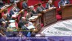 Question d'actualité au Gouvernement du député Philippe Doucet sur la lutte contre le terrorisme