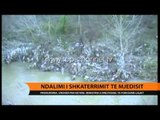 Ndalimi i shkatërrimit të mjedisit - Top Channel Albania - News - Lajme