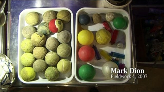 Fieldwork 4 - FIAC Hors les murs au Jardin des Plantes