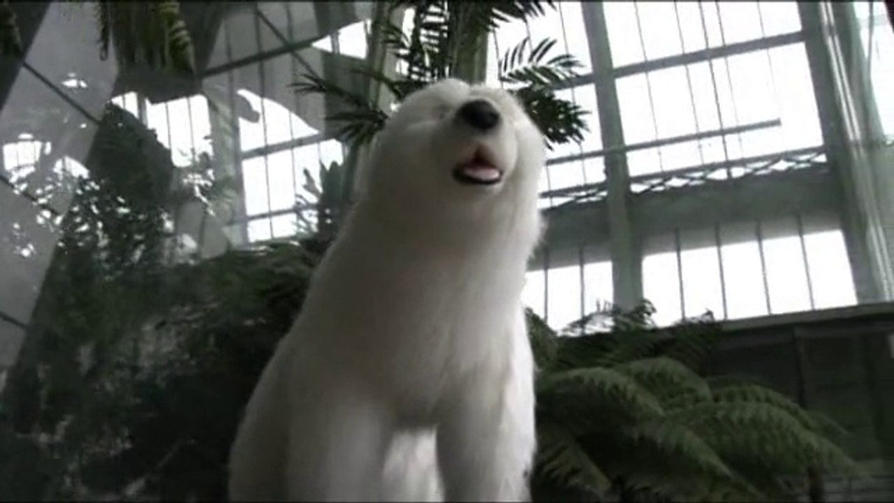 Iceberg & Palm Trees - FIAC Hors les murs au Jardin des Plantes