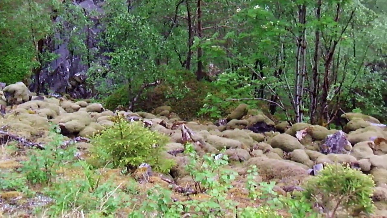 Norwegen 2014 Teil 10