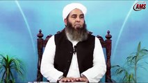 Nabuvat Ki Hayat,Molana Muhammad Ilyas Ghuman