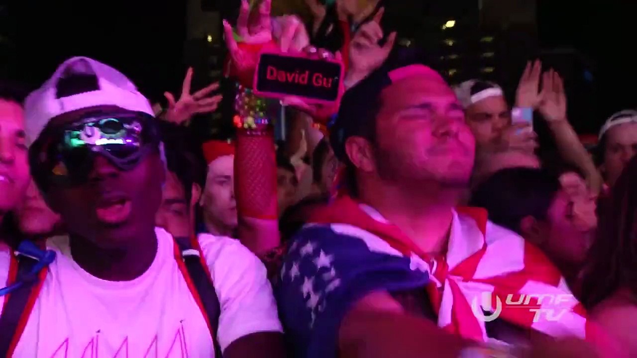David Guetta Miami Ultra Music Festival 2015