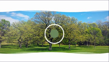 Silver Cross Kensington Heritage Pram For Sale