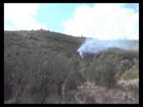 QELLOHET AVIONI SIRIAN ERDOGAN POHON SE AVIONI SHKELI HAPESIREN AJORORE TURKE LAJM