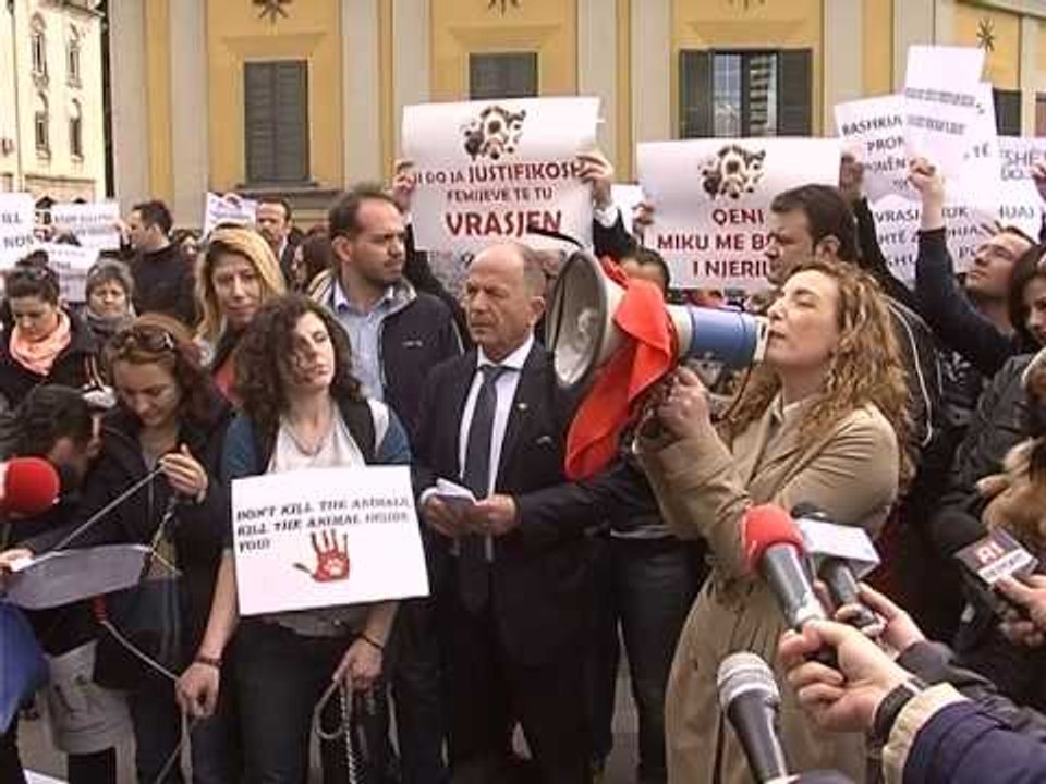 QENTE ENDACAKE AKTIVISTET NE PROTESTE KUNDER VRASJES SE KETYRE KAFSHEVE LAJM