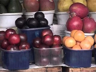 SIGURIA USHQIMORE KREU I AKU,"NE 1 VIT U KRYEN 24 500 INSPEKTIME,PROBLEM VERIU" LAJM