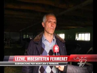 Lezhë, subvencione për ngritjen e fermave  - News, Lajme - Vizion Plus