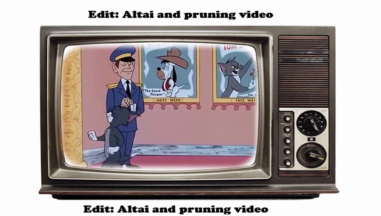 Tom And Jerry ~~ Matinee Mouse 1966 - Dailymotion Video