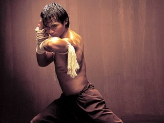 Tony Jaa en Acción