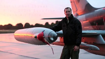 Un pilote de chasse frôle la mort à cause d'un oiseau