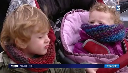 Baisse des dotations de l'État : pas de services municipaux à Grenoble pour protester