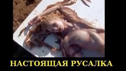 Сенсация. Русалки существуют. Видео настощей русалки
