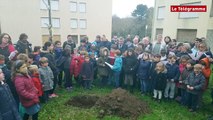 Auray. Arlequin : un message de paix et de tolérance chanté par les enfants