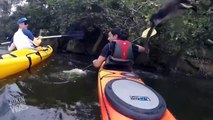 Monkeys Attacks Kayaker | Monkey Island