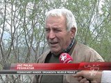 Ndalohet peshkimi në liqenin e Shkodrës - News, Lajme - Vizion Plus