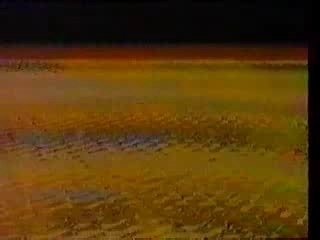 YORKSHIRE TELEVISION INDENT