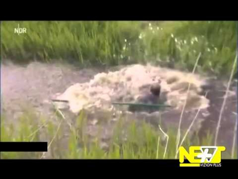 Next - Crazy / Tech - 3 Prill 2014 - Show - Vizion Plus