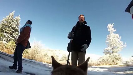 GoPro Our Snowy Wedding (from our dogs perspective)