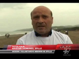 Vullnetarët pastrojnë plazhin e Spillesë - News, Lajme - Vizion Plus