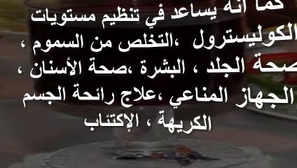 فوائد العرقسوس لتحسين صحة الجهاز المناعي وعلاج العدوى