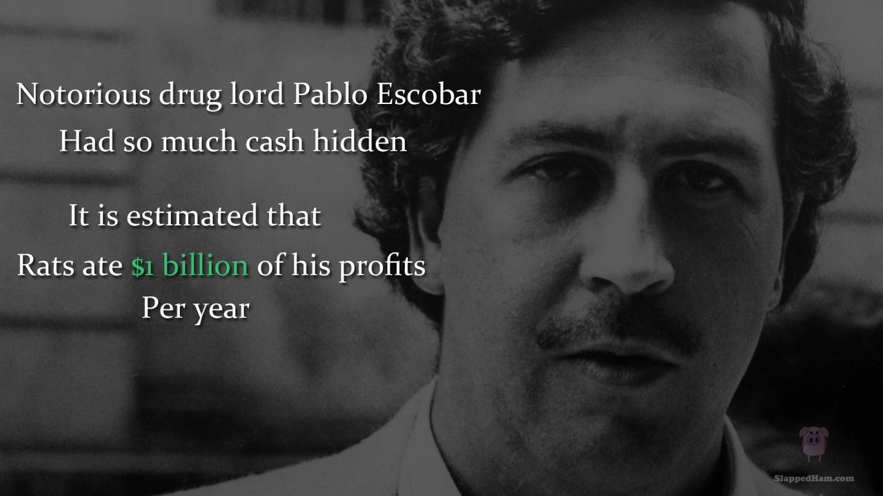 Pablo Escobar The King of Cocaine