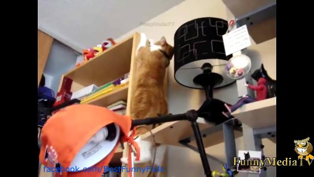 The Ultimate Fail, Win and Funny pranks Mega Compilation part 106