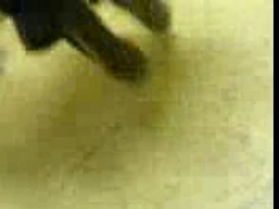 MOV00026