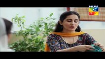 Mera Dard Na Jany Koi Episode 23 Full HUM TV Drama 23 Nov 2015