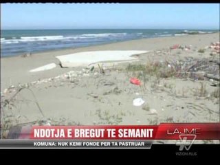 Fier, ndotet bregu i Semanit - News, Lajme - Vizion Plus