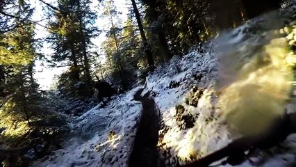 Glentress Spooky Woods in the Snow pt2
