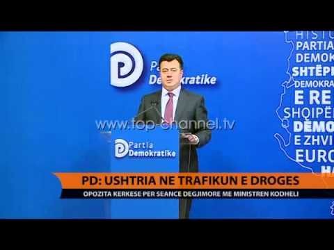 PD shpif ndaj ushtrisë dhe policisë - Top Channel Albania - News - Lajme